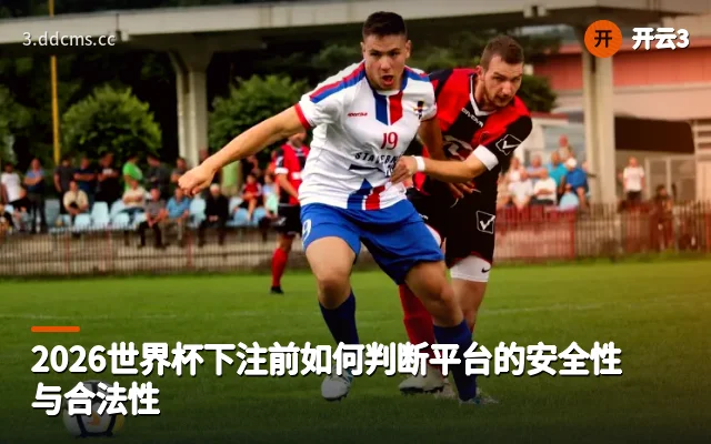 2026世界杯下注前如何判断平台的安全性与合法性